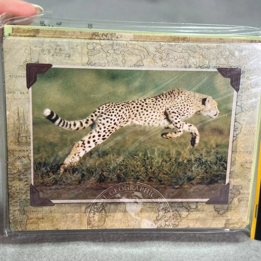 National Geographic Note Cards and Envelopes Cheetah Zebra Safari 2013 Greetings